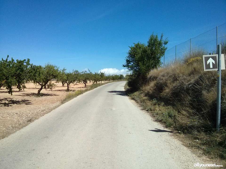 Camino Natural Vía Verde del Noroeste. Bullas. Senderismo y cicloturismo en  Murcia