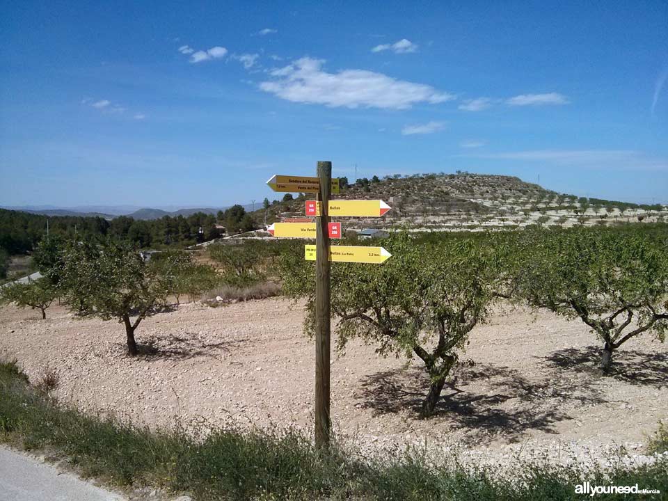 Camino Natural Vía Verde del Noroeste. Bullas. Senderismo y cicloturismo en  Murcia
