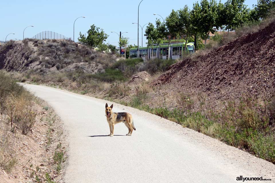 Green Route of the Northwest. Murcia