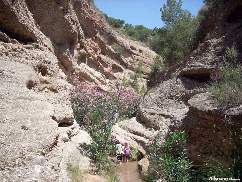 Ruta guiada del río Chícamo