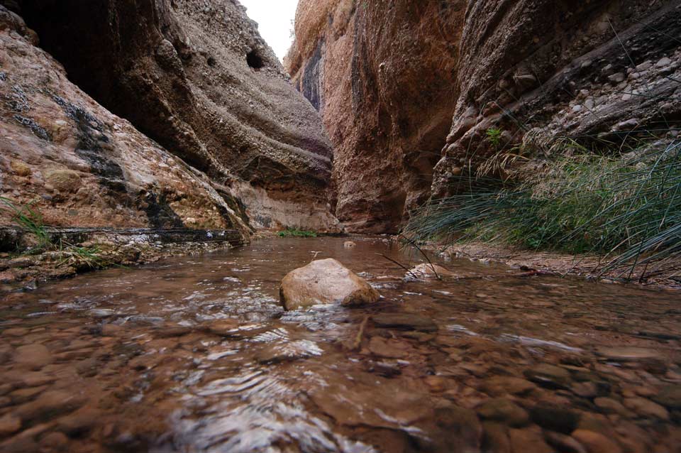 27 - Canyon. Guided tour of Chícamo River 