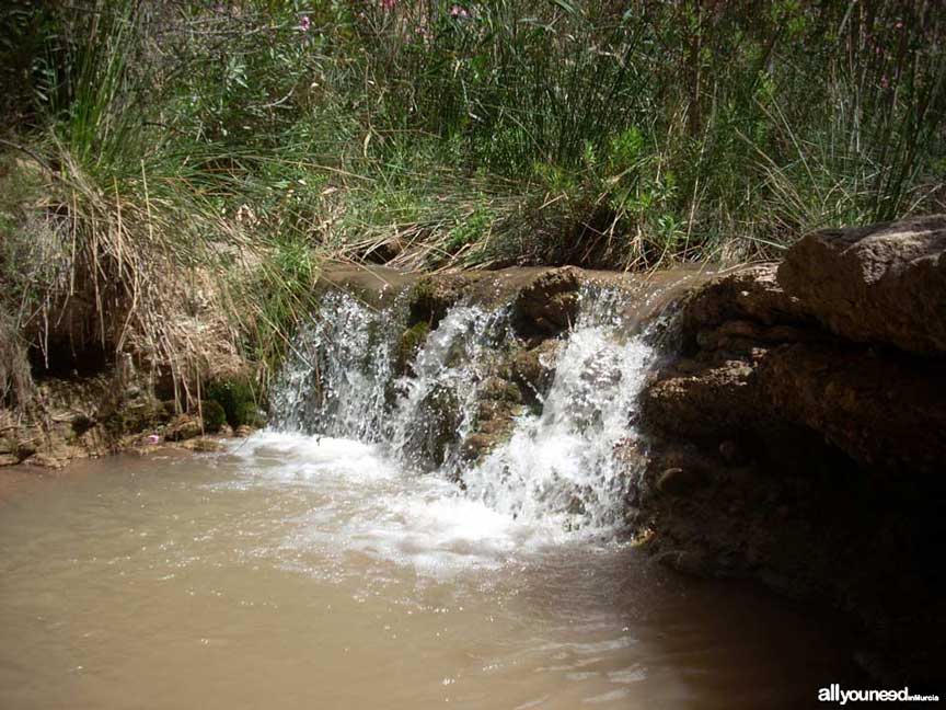 25 - Cañón. Ruta guiada del río Chícamo en Abanilla