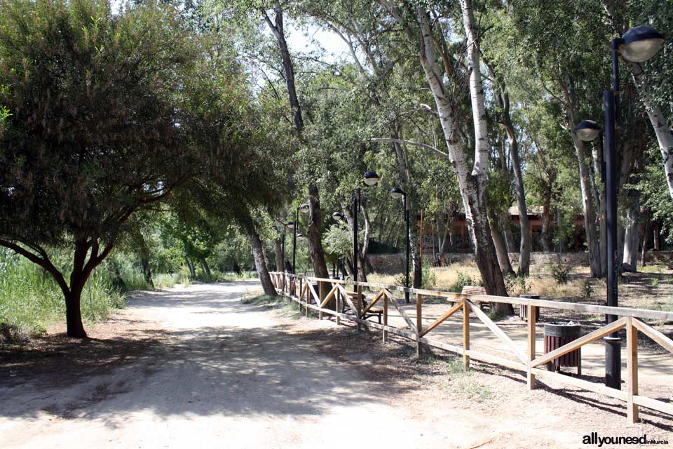 Parque Municipal en Abarán