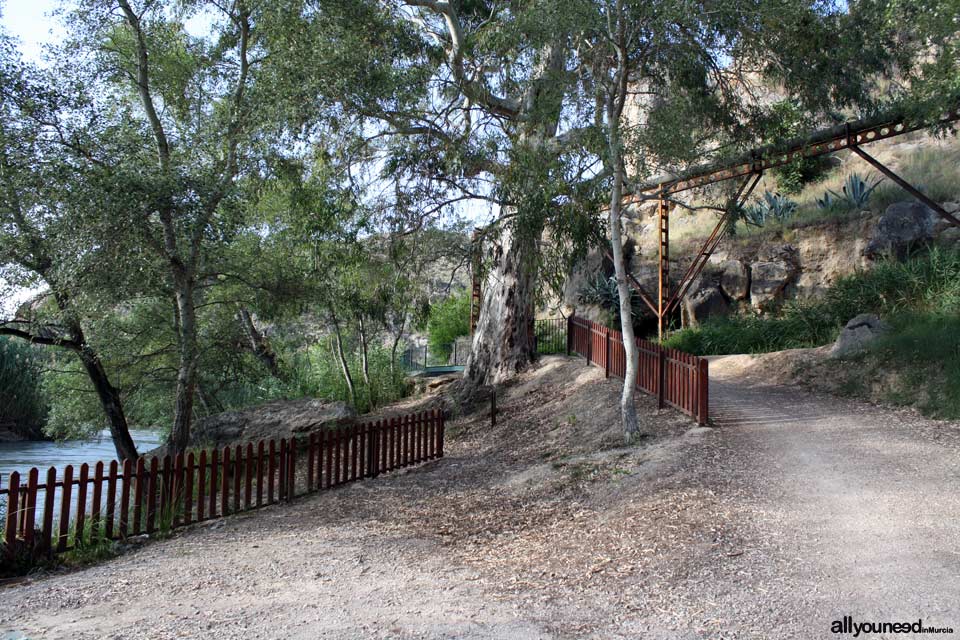 Waterwheel Route in Abarán, Murcia. Trail to the Hoya de D.García Waterwheel