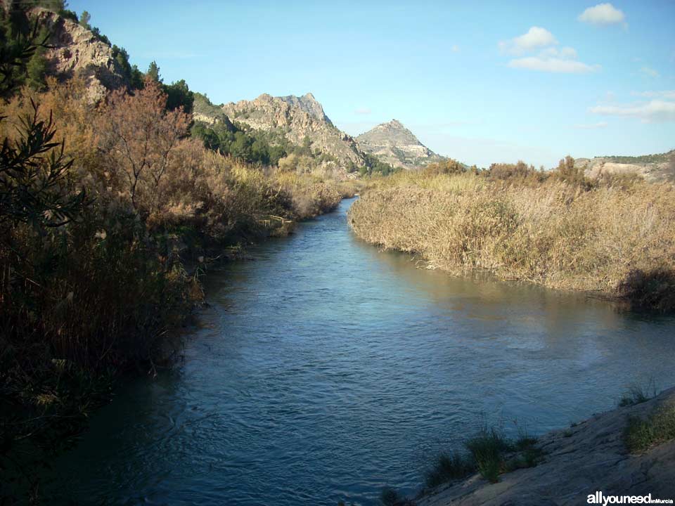 Waterwheel Route in Abarán, Murcia. Trail to the Hoya de D.García Waterwheel