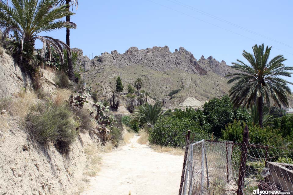 Ruta de las Norias en Abarán, Murcia. Sendero a Noria Félix Cayetano