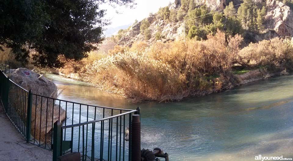 Waterwheel Route in Abarán, Murcia. Trail to the Hoya de D.García Waterwheel