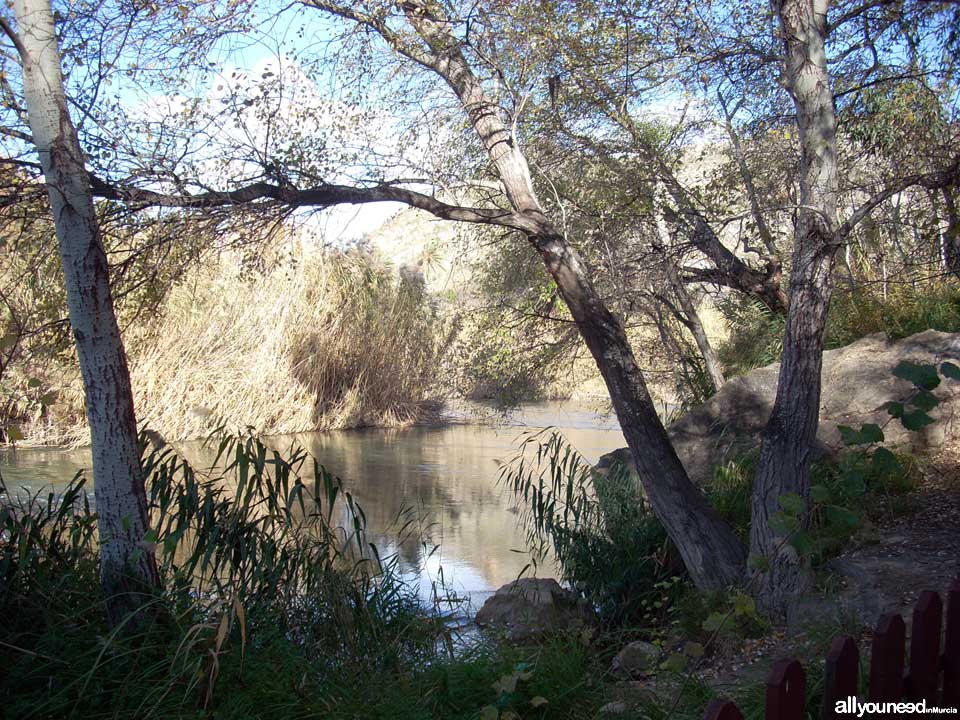 Ruta de las Norias en Abarán, Murcia. Sendero hacia la Noria de la Hoya de D.García