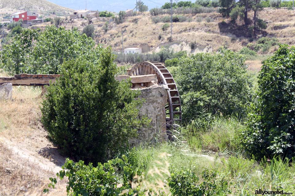 Waterwheel Route in Abarán, Murcia. Félix Cayetano Waterwheel