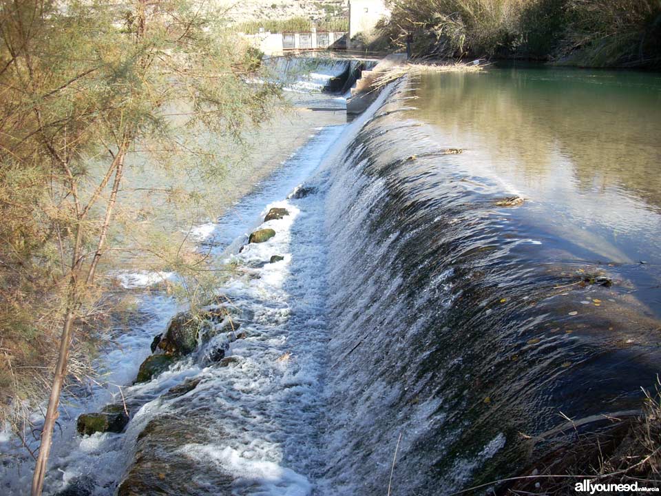 Ruta de las Norias en Abarán, Murcia. Parque presa el Jarral