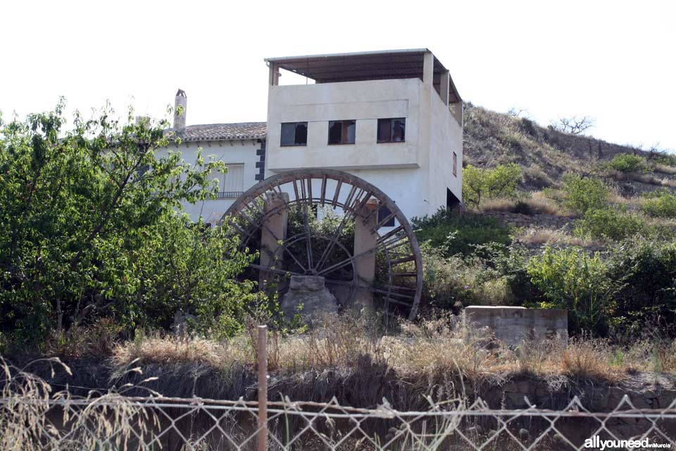 Ruta de las Norias en Abarán, Murcia. Noria de la Ñorica