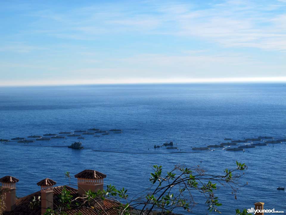 Panoramic Views of Águilas. Tuna Fish Farm