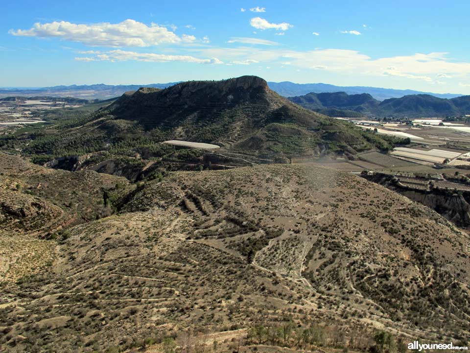 Paisajes de Aledo