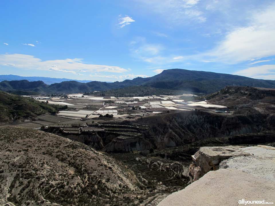 Paisajes de Aledo