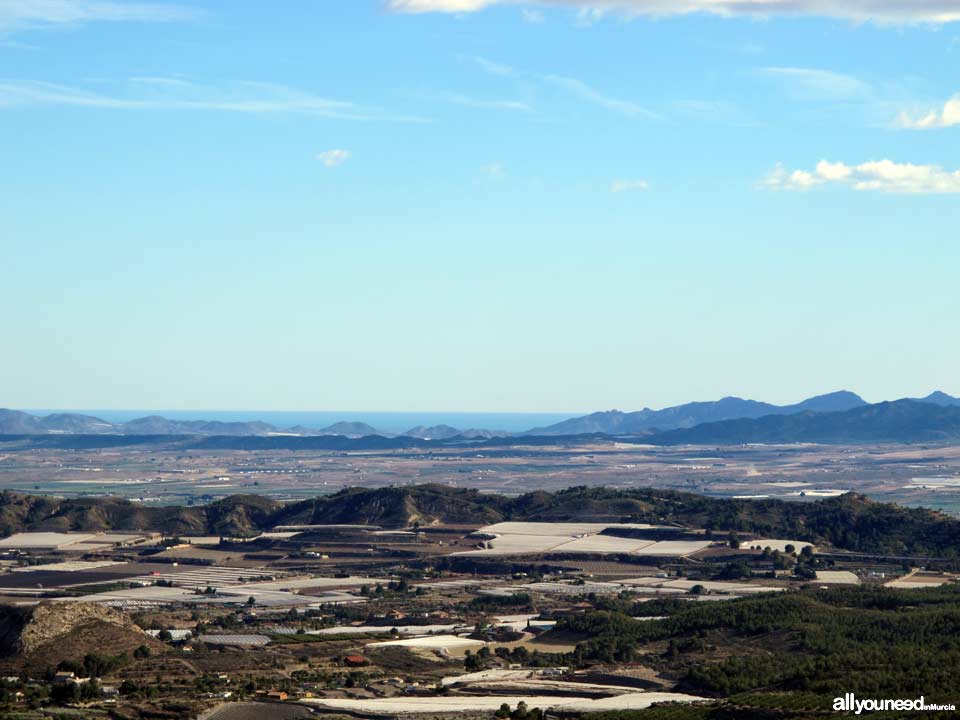 Paisajes de Aledo