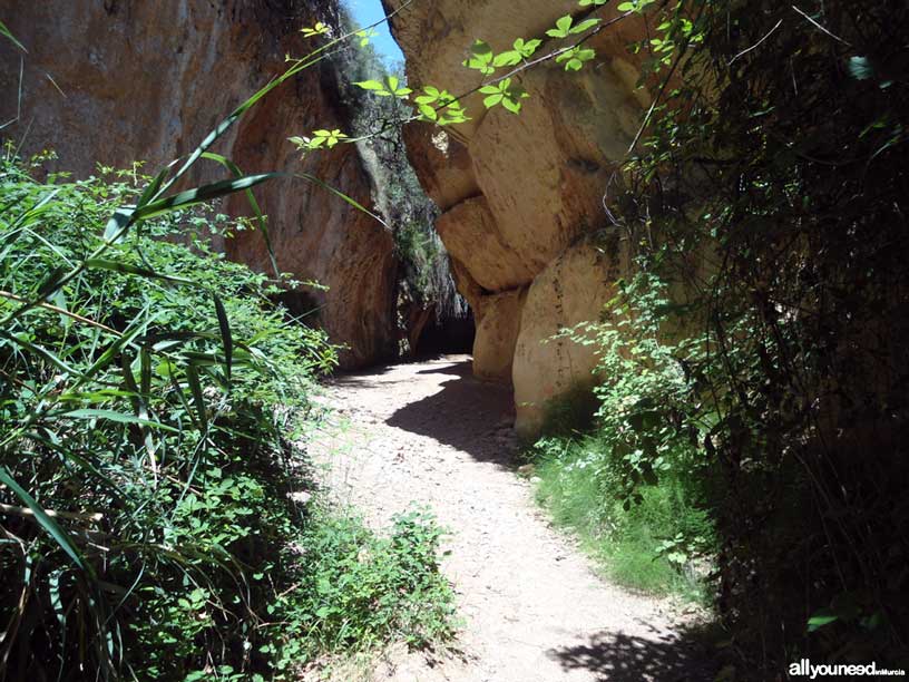 Estrecho de la Arboleja en Aledo. Entrada