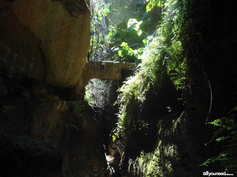 Estrecho de la Arboleja en Aledo