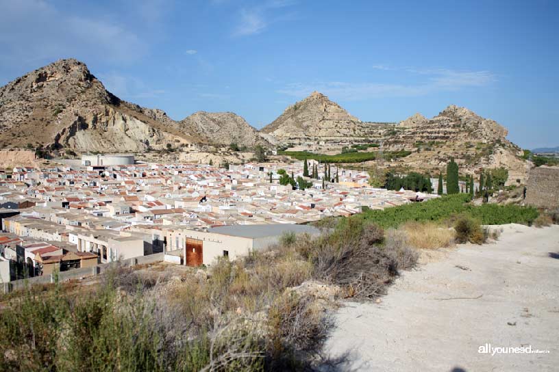 Cabezo del Tío Pío, poblado íbero. Vistas del cementerio