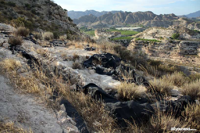 Cabezo del Tío Pío, poblado íbero. Yacimento