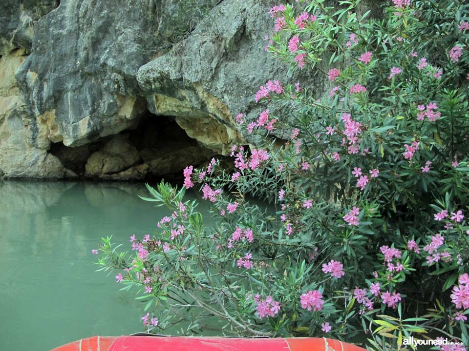 Descenso del Cañón de Almadenes. Calasparra