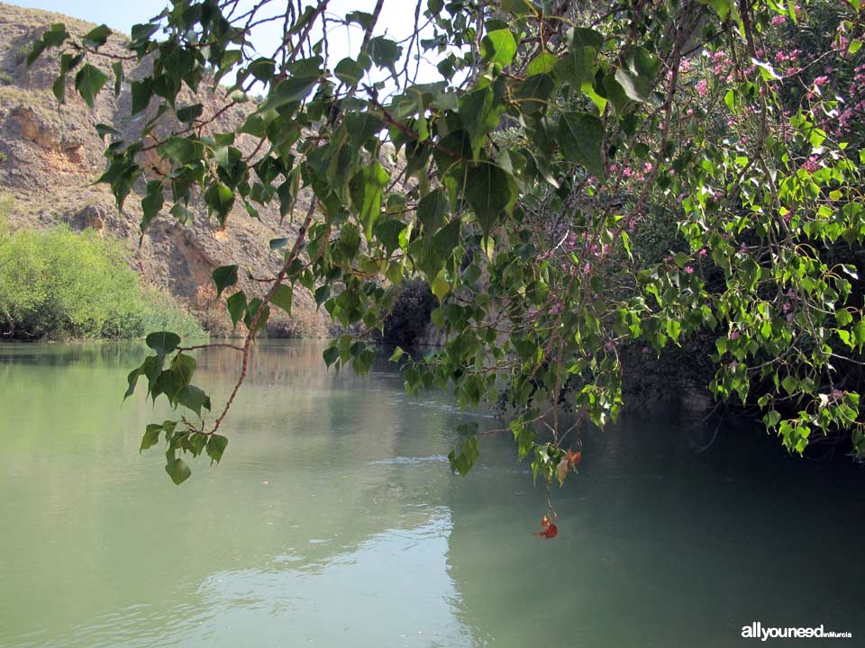 Almadenes Canyon. Calasparra and Cieza