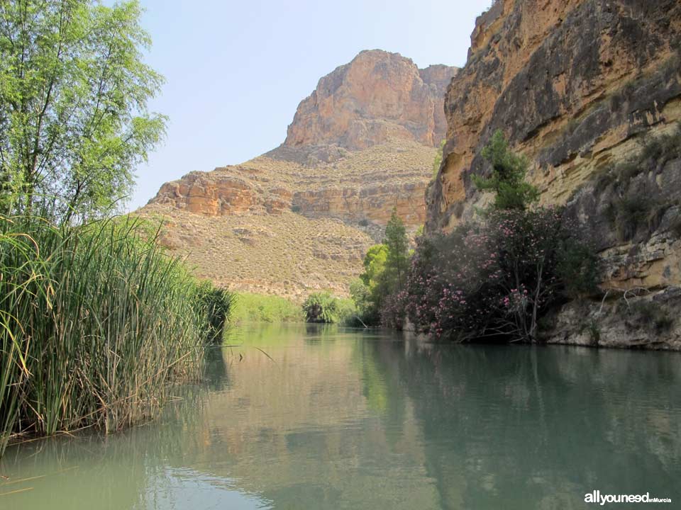 Cañón de Almadenes entre Calasparra y Cieza. Murcia