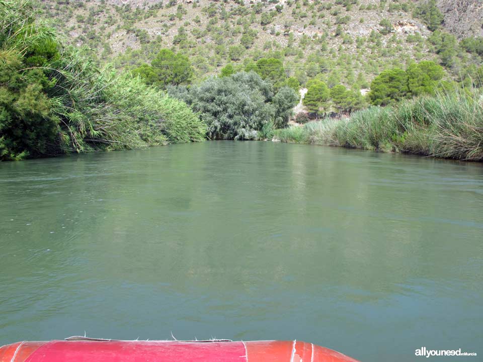 Descenso del Cañón de Almadenes. Calasparra