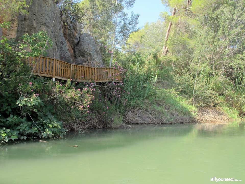 Descent of Almadenes Canyon. Calasparra and Cieza