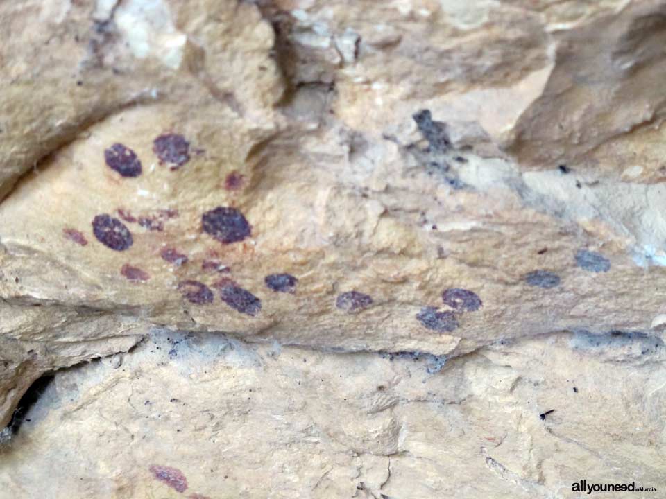 Los Abrigos del Pozo. Cueva de los Monigotes