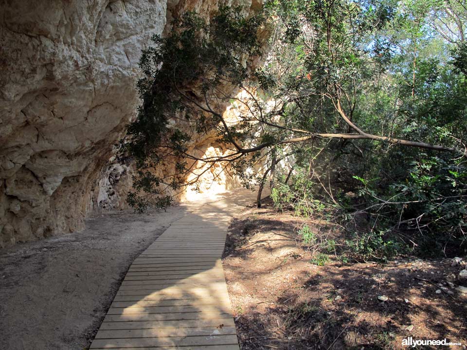 Los Abrigos del Pozo. Cueva de los Monigotes