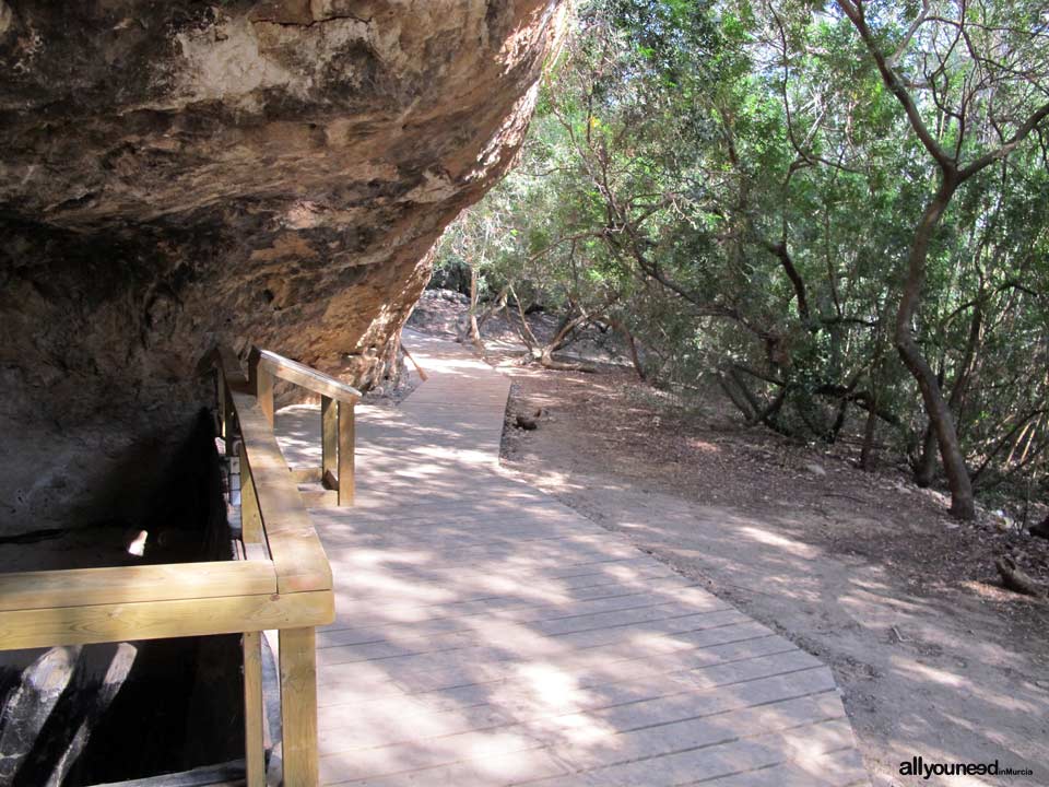 Los Abrigos del Pozo. Cueva de los Monigotes