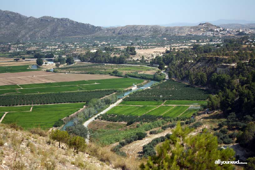 Campos de arroz de Calasparra. Mirador de las Lomas