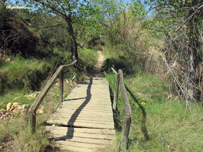 Sotos y Bosques de Ribera de Cañaverosa. Senda la Huertecica