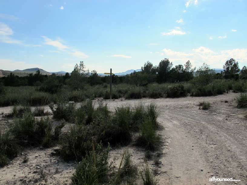 Bosques de Ribera de Cañaverosa. Senda la Huertecica. Desvío Izquierda