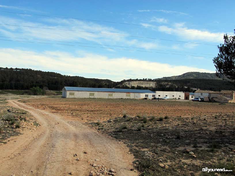 Groves and Forests of Cañaverosa Riverside