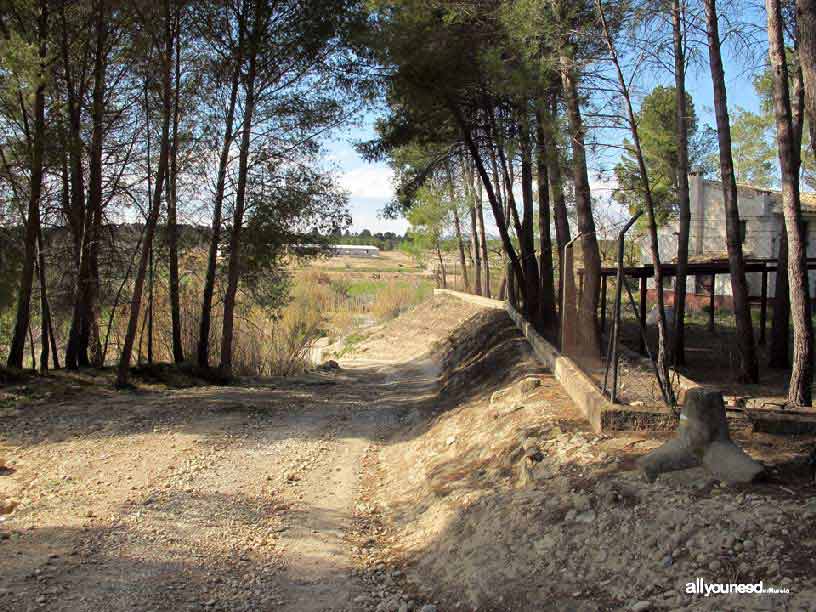 Bosques de Ribera de Cañaverosa. Senda la Huertecica.