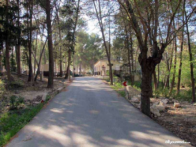 Groves and Forests of Cañaverosa Riverside