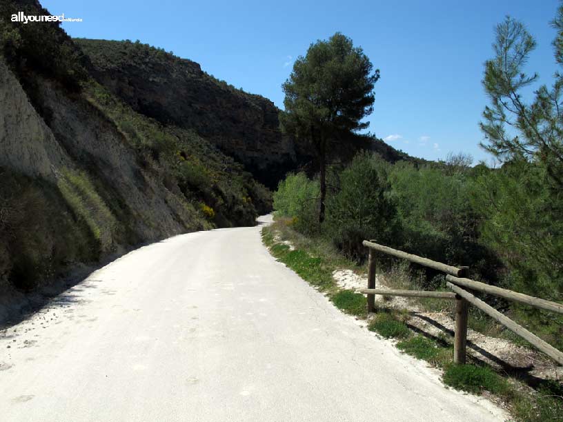 Groves and Forests of Cañaverosa Riverside