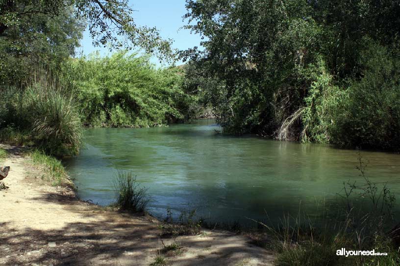 Sotos y Bosques de Ribera de Cañaverosa