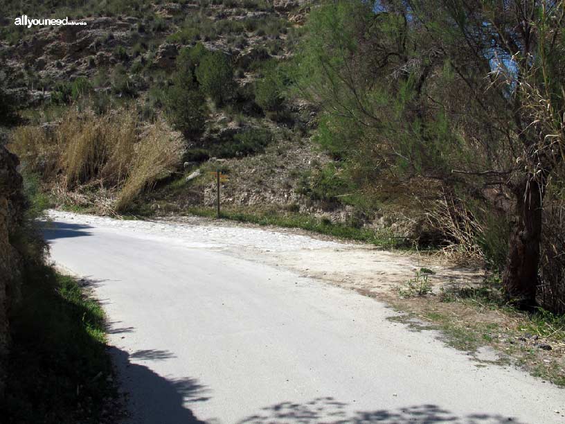 Groves and Forests of Cañaverosa Riverside