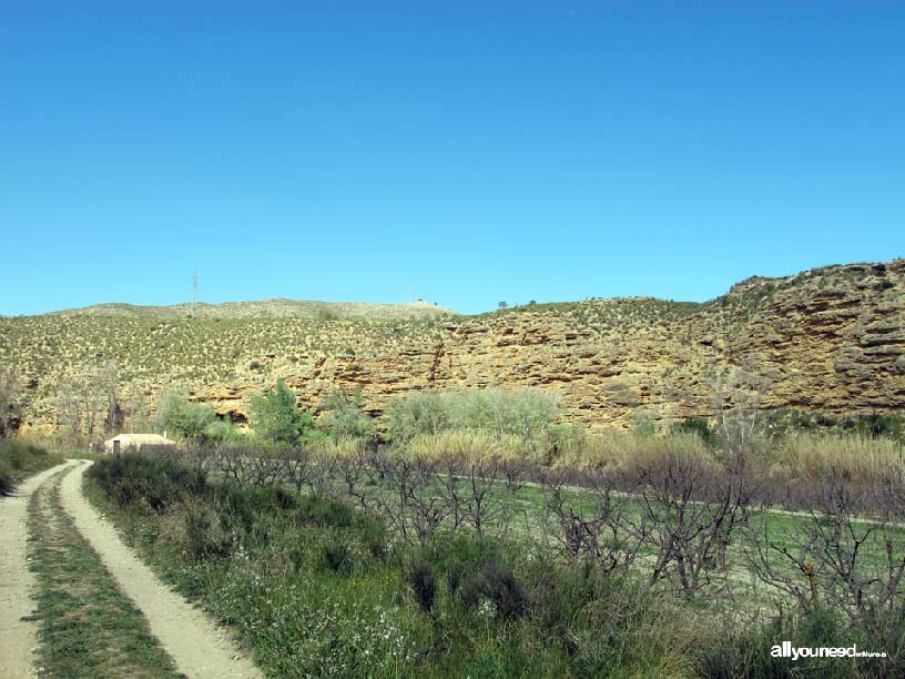 Sotos y Bosques de Ribera de Cañaverosa