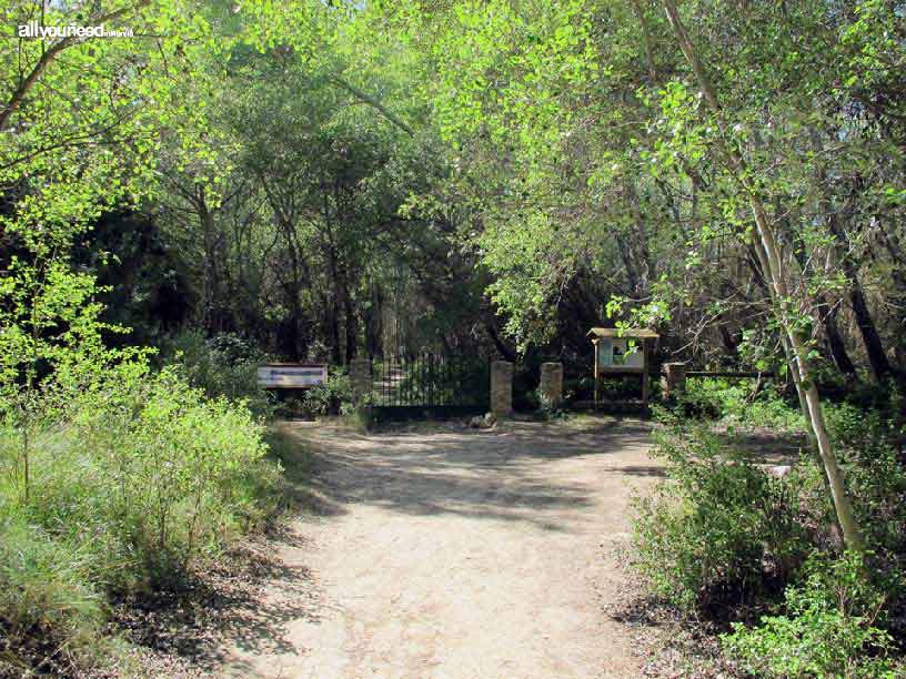 Sotos y Bosques de Ribera de Cañaverosa. Entrada al bosque