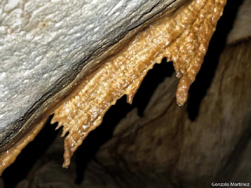 Cueva del Puerto en Calasparra