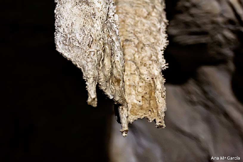 Cueva del Puerto en Calasparra