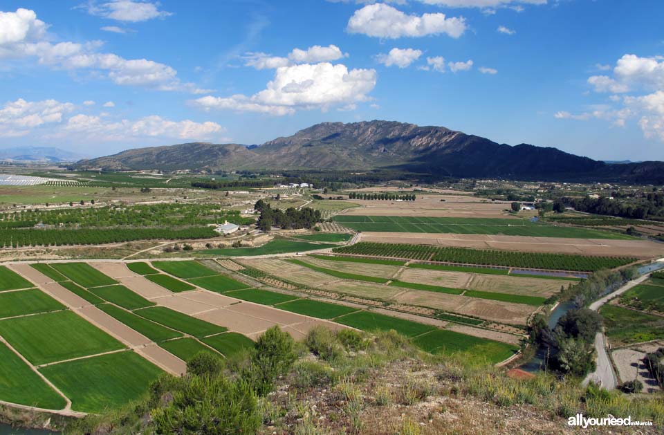 Panorámicas de Calasparra