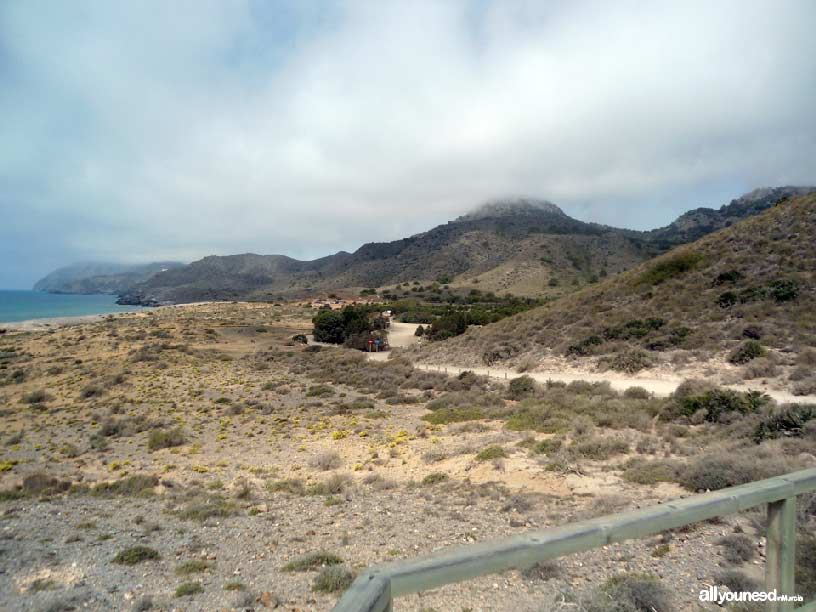 Sendero Cabezo de la Fuente. Calblanque