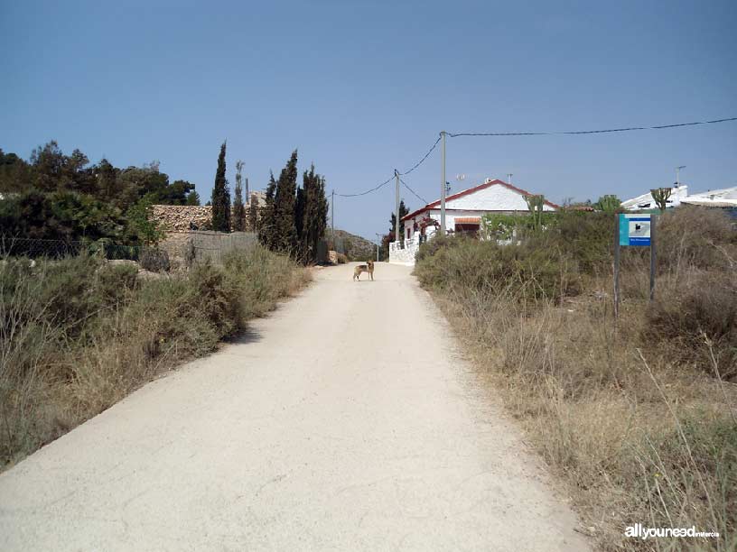 Sendero Cabezo de la Fuente. Calblanque