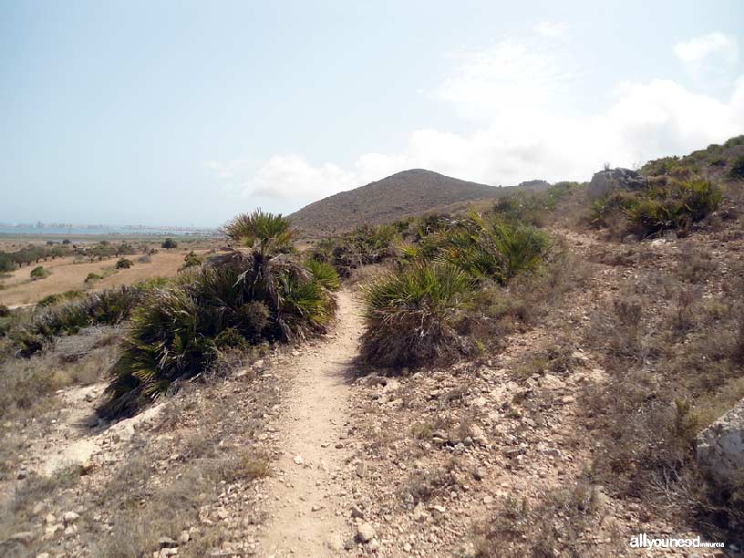 Sendero Cabezo de la Fuente. Calblanque