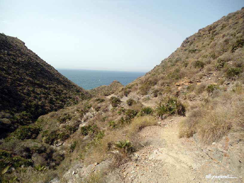 Sendero Cabezo de la Fuente. Calblanque