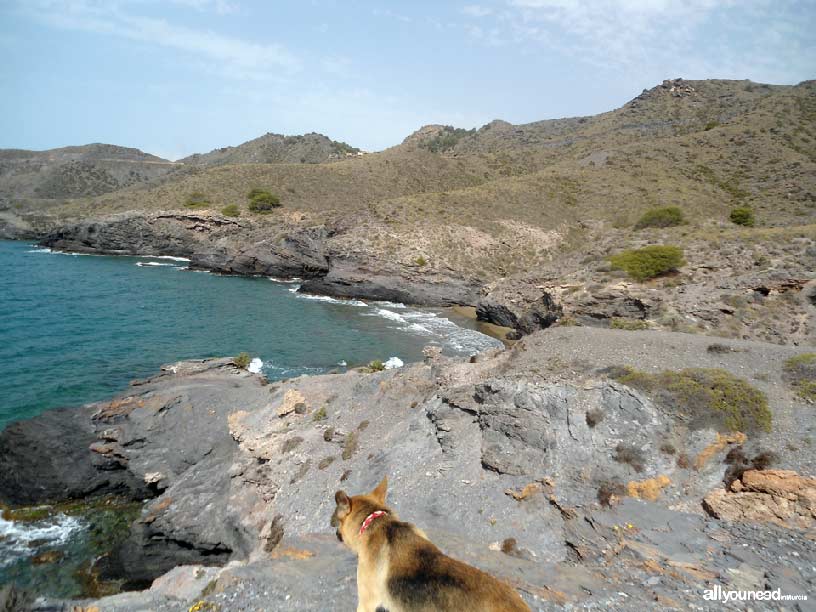 Sendero Cabezo de la Fuente. Calblanque